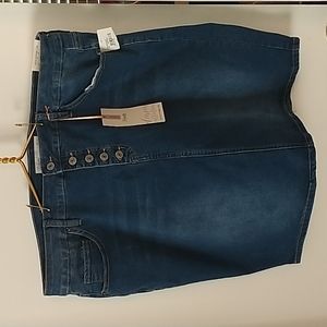 Plus Size Dark Denim Skirt by Royalty For Me
